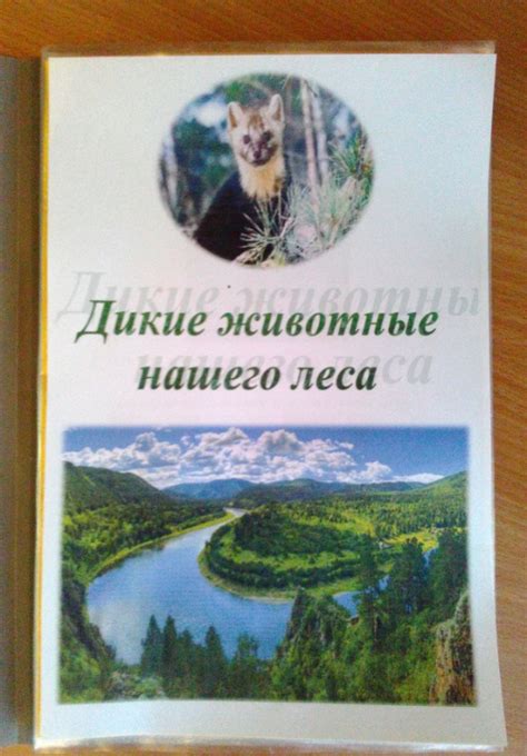 Проект "Дикие и домашние и животные" группа "Сказка"
