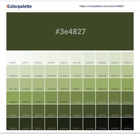 Pantone 5743 C Color | Hex color Code #3E4827 information | Hsl | Rgb ...
