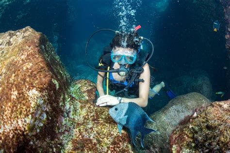 Belle Fille De Plongeur De Latina Tout En Touchant Un Poisson Image Stock Image Du Blanc