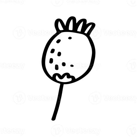 Opium Hand Drawn Illustration 15153033 Png