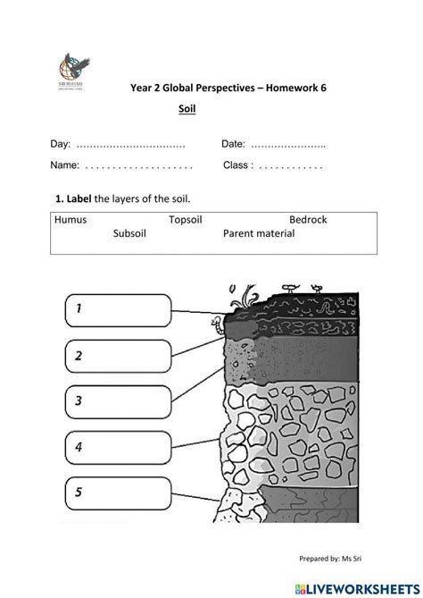 Soil Layers Interactive Worksheet Worksheets Library