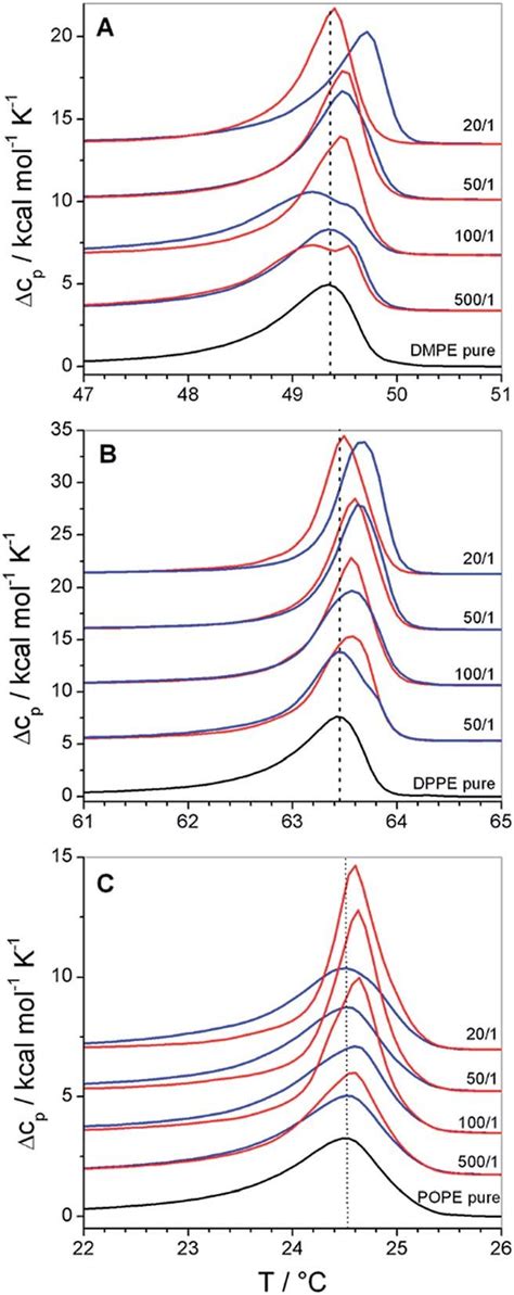 Dsc Thermograms Of Polymer Bound Lipid Vesicles Prepared From A Dmpe Download Scientific