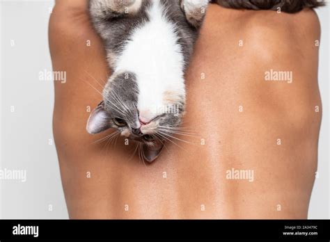 Playing With The Pet Pleased Pet Cat Hanging Upside Down On The Back Of A Nude Woman And Looks