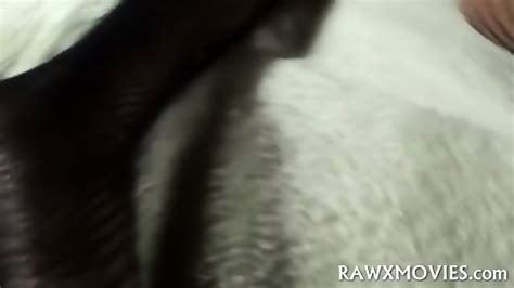 Pussy Pampered Porn Star