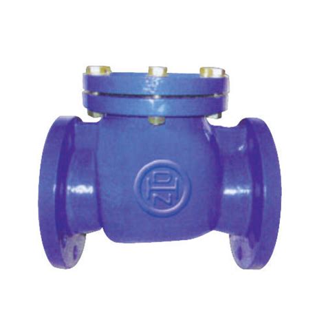 Swing Check Valve Di Nicola Infinam Srl For Water For Chemicals