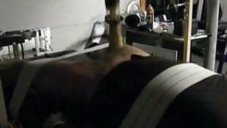 Venus Milking Machine Free Man Porn Xhamster Xhamster