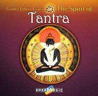 Gomer Edwin Evans. The Spirit Of Tantra - купить по низким ценам в ...