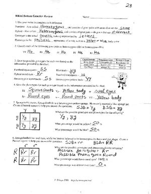 Bikini Bottom Genetics