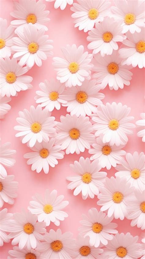 Wallpaper Pattern Flower Daisy Backgrounds Free Photo Rawpixel