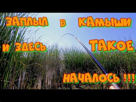 Рыбалка на КАРПА в ГУСТОМ КАМЫШЕ ! Ловля на УДОЧКУ с БОКОВЫМ КИВКОМ ...
