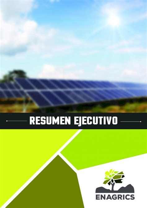 Pdf Resumen Ejecutivo Enagrics Modificado Suministro Y Puesta En