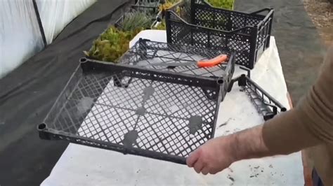 Оригинальная спинка — стильный акцент, приковывающий внимание