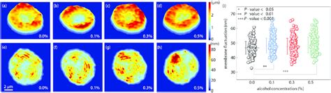 Ad D Membrane Height Maps Of The Representative Individual Rbcs In