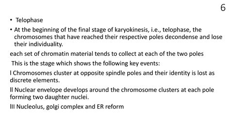 Mitosis Ppt