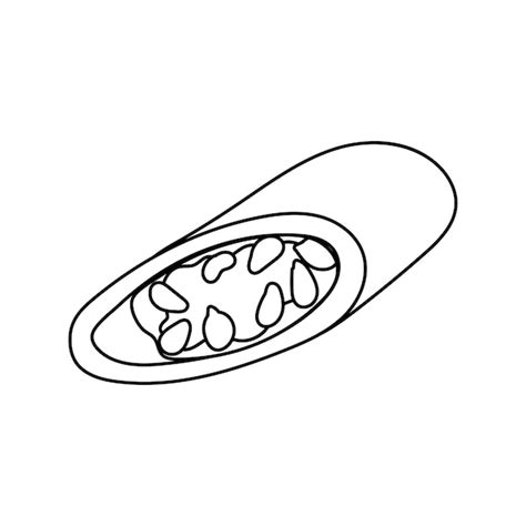 Hot Chili Pepper One Red Icon Para Comida Picante Y Condimentos Vector Premium