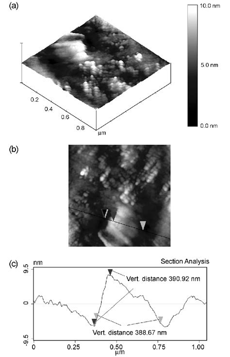 AFM images of (a) 3dimensional and (b) 2-dimensional, and (c) section ...