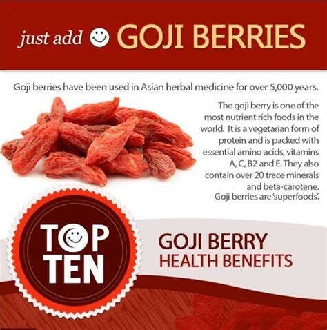 Goji Berries Benefits And Advantages Crash Course