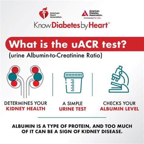 Chronic Kidney Disease Poster