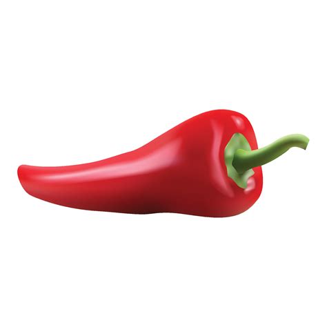 Red Hot Natural Chili Pepper Pod Realistic Vector Illustration Design For Grocery Culinary