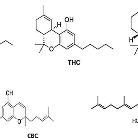 Molecular structure of Cannabinoids based on their functional groups ...