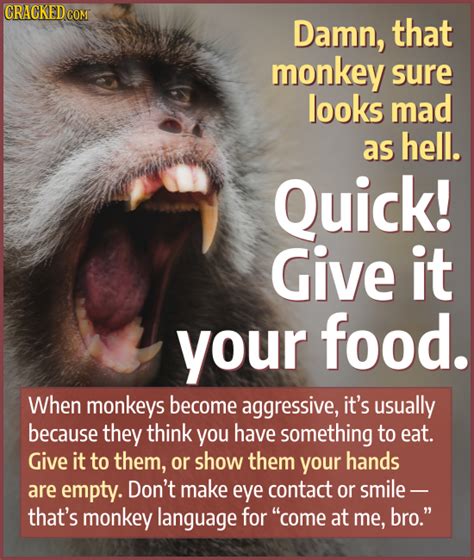Cool Survival Tips To Get You Through A Disaster | Cracked.com