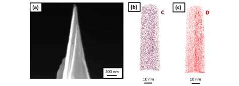 (a) Scanning electron microscopy image of the tip sharpened in the ...