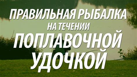 КАК ЛОВИТЬ РЫБУ НА ПОПЛАВОЧНУЮ УДОЧКУ В ПРОВОДКУ С БЕРЕГА - YouTube