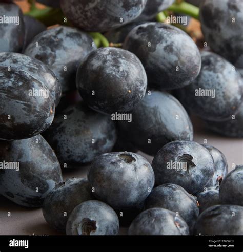 Black Grapes And Blueberries Stock Photo Alamy