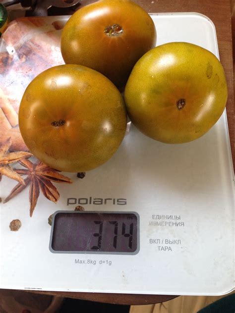 Томат Изумрудное яблоко: описание сорта, ОТЗЫВЫ (25), фото | tomatland.ru