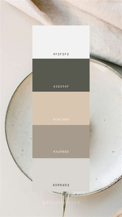 Studiocosoe Color Palette Inspiration Nude Color Palette Color Palette Color Combos