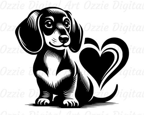 Dachshund Svg And Png Sausage Dog Clipart Dog Vector Image Dachshund