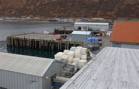 Peter Pan Closing Seafood Processing Facility In King Cove For Alaska