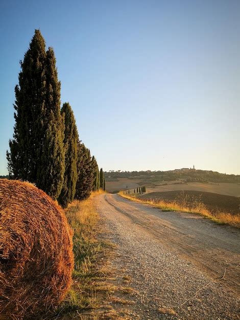 Campi Images - Free Download on Freepik