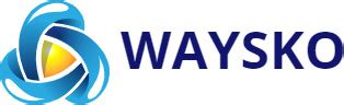 WAYSKO — купить товары WAYSKO в интернет-магазине OZON