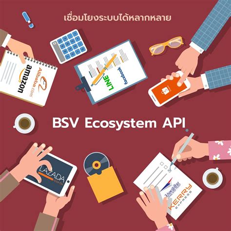 ซอฟต์แวร์ระบบ Bsv