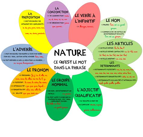 La Nature Des Mots Cm2 Exercices Pdf La Galerie