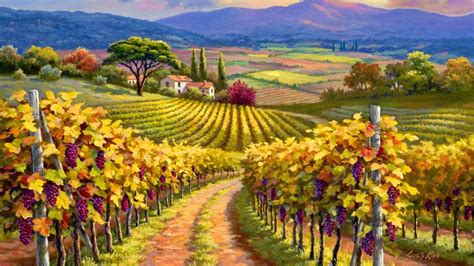 Tuscan Vineyard Wallpapers - 4k, HD Tuscan Vineyard Backgrounds on ...