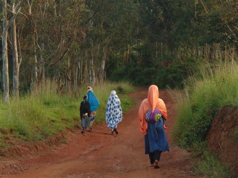 Gembu: Trip To Scenic Spot On Edge Of Nigeria - Daily Trust