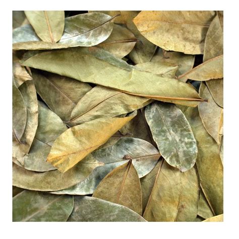 Soursop Leavesdried Soursop Leaves Axel 84 38 776 0892 Buy
