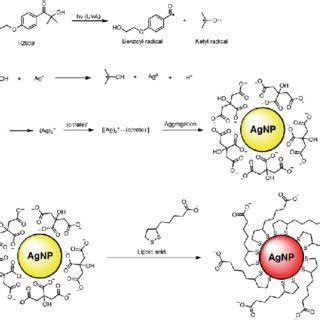 Preparation And Characterization Of La Capped Agnp A Uv Vis