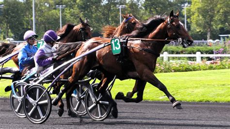 Pronostic Pmu Du Jeudi F Vrier Base Et Tocard Pour Le Quint