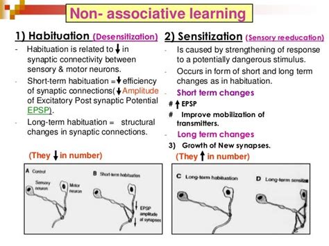 Motor Learning And Recovery Of Function