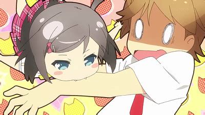 Hentai Ouji To Warawanai Neko Anime AnimeClick It