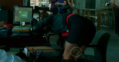 Naked Daniela Ruah In Ncis Los Angeles