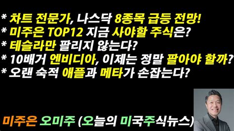 오늘의 미국주식뉴스 미주은 Top12 지금 사야할 주식은 차트 전문가 나스닥 8종목 급등 전망 테슬라만 안팔린다