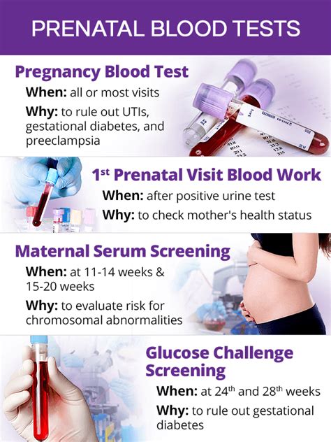 Urine & Blood Tests during Pregnancy | SheCares