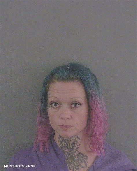 Palmer Melissa Sue Sumter County Mugshots Zone