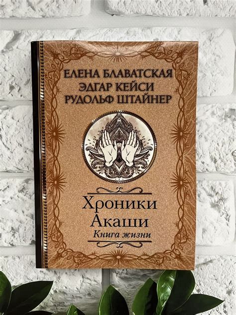 Блаватская, Кейси, Штайнер | Хроники Акаши. Книга жизни Book📚 (Мягкая ...