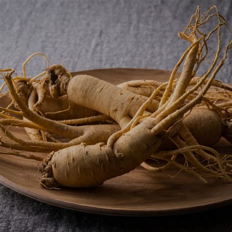 Panax Ginseng - Benefits | Dosage | Side Effects