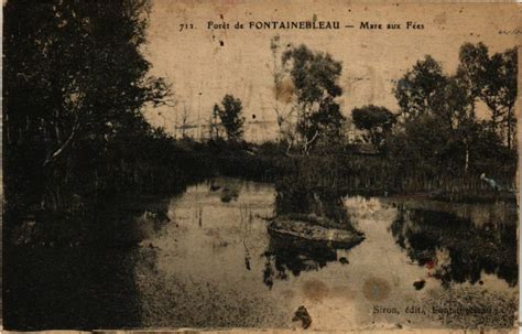 Foret de Fontainebleau Mare aux Fées à Fontainebleau Cartorum